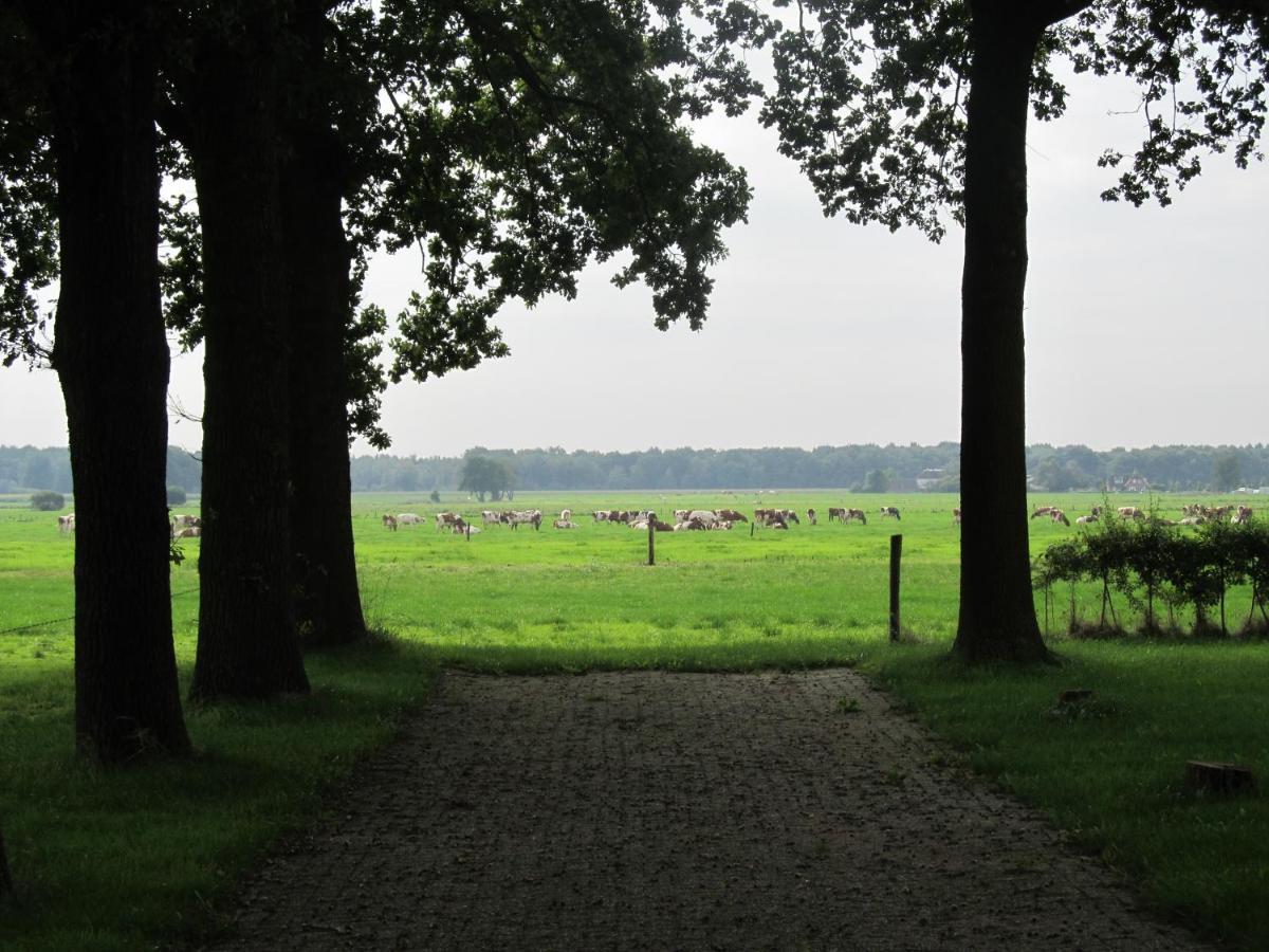 Boerderij De Aarnink Apartment Heeten Exterior foto